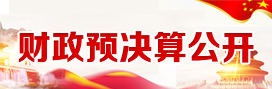 財(cái)政預(yù)決算公開(kāi)